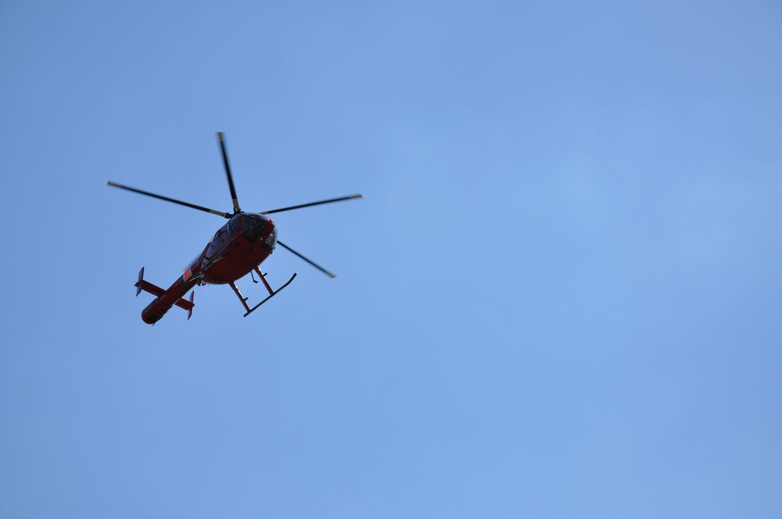 WRC-D 20-08-2010 133.jpg